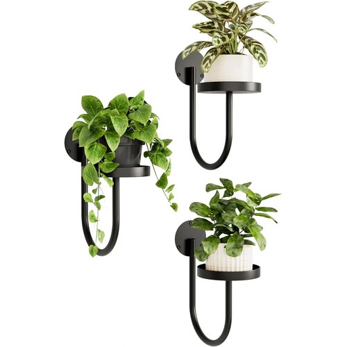 BAMWORLD 3x stensko stojalo za rastline U-oblike Slike