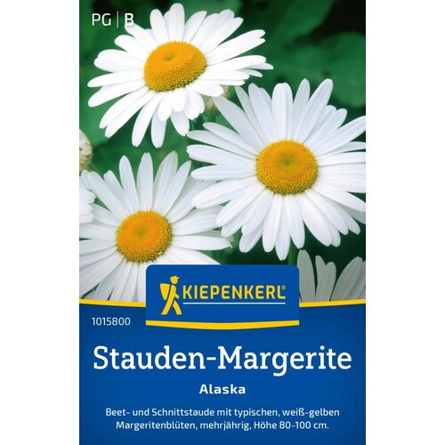 KIEPENKERL Bele marjetice - 1 pkt. Slike