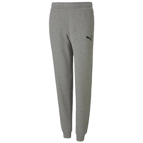 Puma Teamgoal 23 Casuals Pants JR Siva Cijene