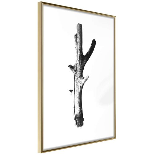  Poster - Fetch! 40x60 Cijene