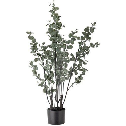 Bloomingville Umetni evkaliptus (vi&amp;scaron;ina 117 cm) &amp;ndash; Slike