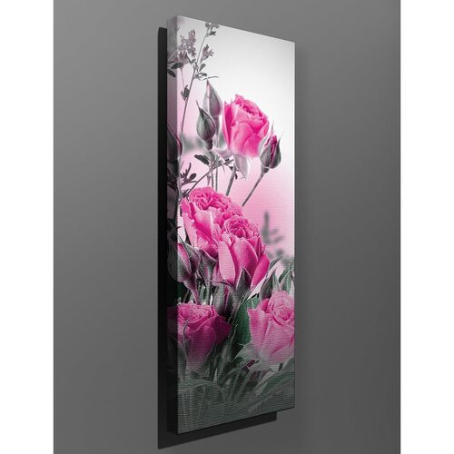 WALLXPERT PC036 Višenamenska Dekorativna Platna Cene