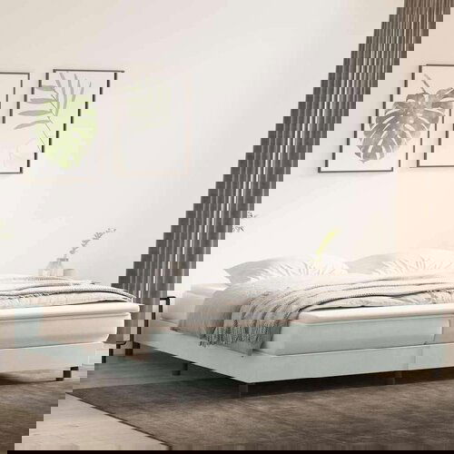 Box Spring krevet bez madracem svijetlo sivi 200x210 cm baršun Cene