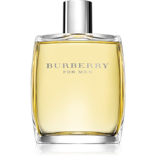 Burberry for Men toaletna voda za muškarce 100 ml Cijene