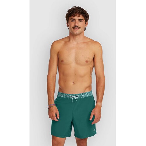 O'neill Pocket Print 16" Boardshorts botanical heat Cene
