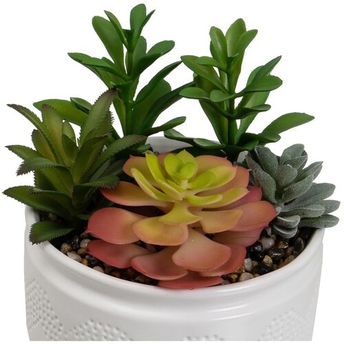 Casa Selecci&amp;oacute;n Umetne rastline v kompletu 2 ks (vi&amp;scaron;ina 19 cm) Cactus &amp;ndash; Slike