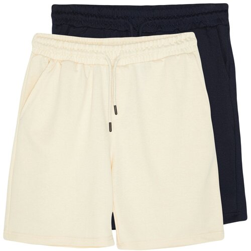 Trendyol Navy Blue-Stone Men's Basic Regular/Normal Cut 2-Pack Shorts Cene
