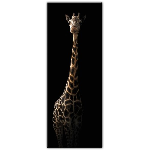 Styler Slika Glas Animals Gira, 50 x 125 cm Slike