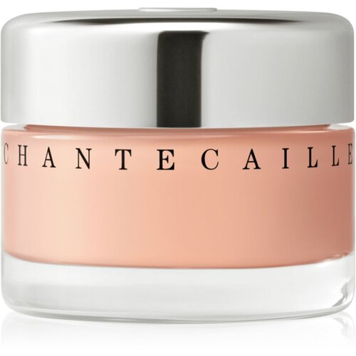 Chantecaille Future Skin Gel Foundation hidratantni puder s posvjetljujućim učinkom Macadamia 3C 30 g Cijene