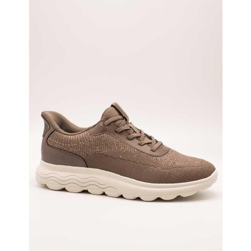 Geox Nizke superge - Kostanjeva Slike