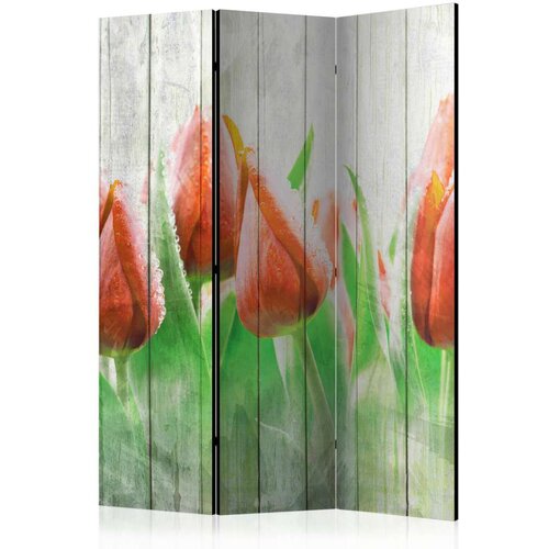  Paravan u 3 dijela - Red tulips on wood [Room Dividers] 135x172 Slike