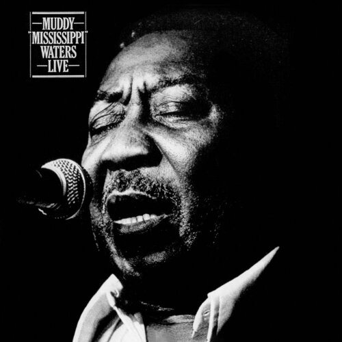  Muddy Waters - Muddy Mississippi Waters Cene