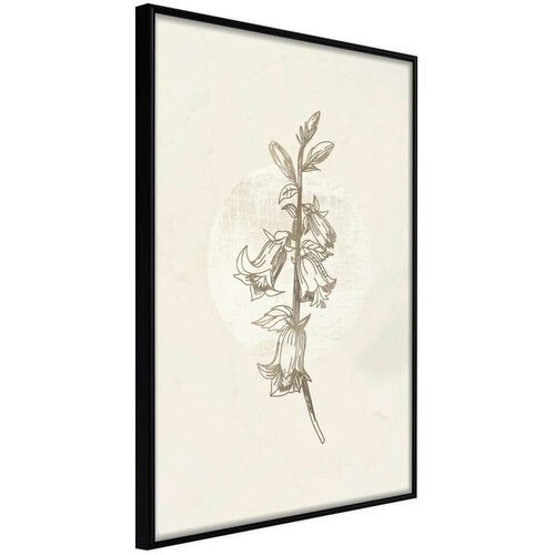  Poster - Beige Campanula 20x30 Cijene