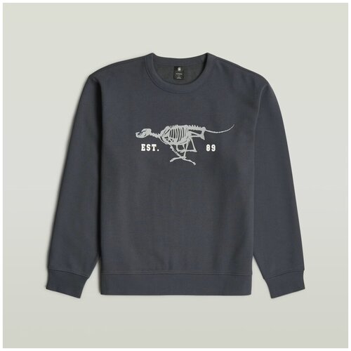 G-star Raw Puloverji RUNNING DOG BACK GR R S Siva Slike