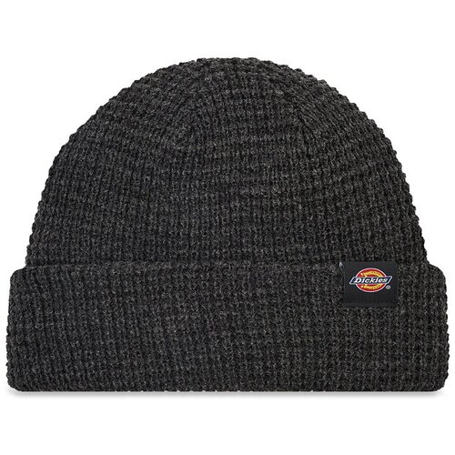 Dickies Kapa Cene