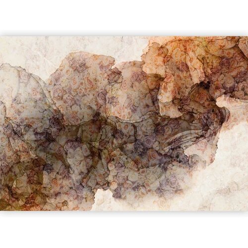  Foto tapeta - Woven With Roses 245x175 Slike