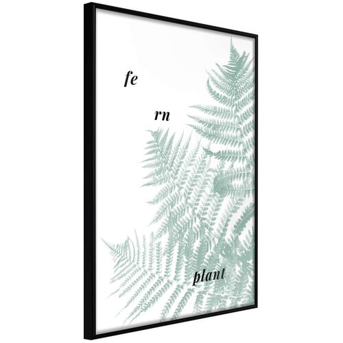  Poster - Pale Green Fern 30x45 Slike