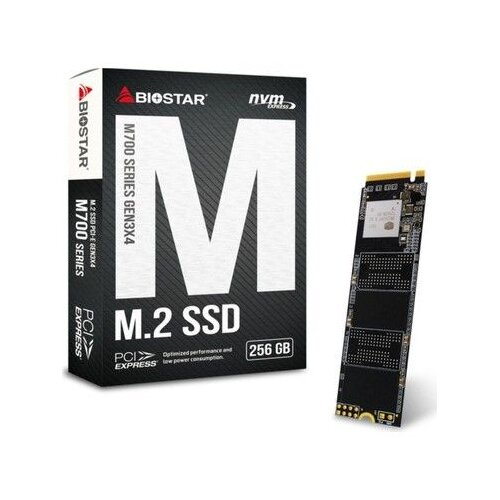 Biostar M.2 SSD memorija 512GB, 1700MBs, 1450MBs, M700 Cijene