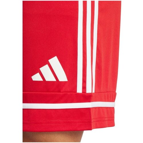 Adidas Kratke hlače &amp;amp; Bermuda Squa25 Sho M Rdeča Slike