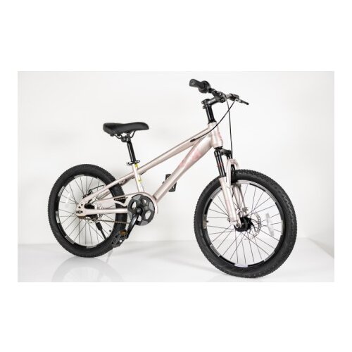  Bicikl za odrasle 20/1 -tn24q22- champagne/pink ( BCK0408 ) Cene