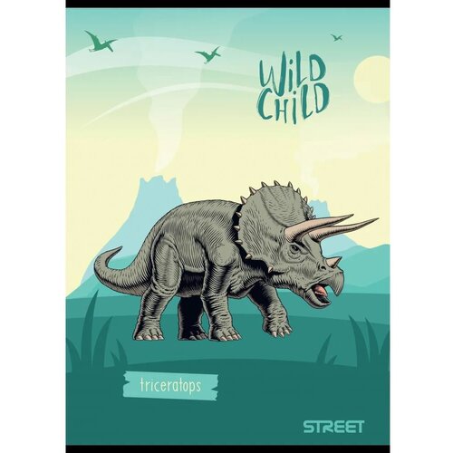 STREET Zvezek Dinosaurs A4 karo Slike