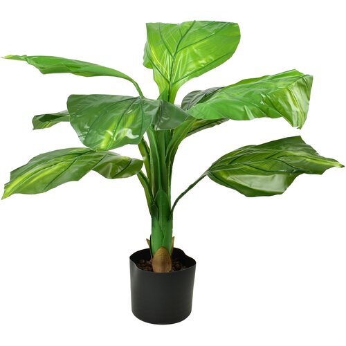 Mondex Umetna rastlina v loncu plastika Viridis 80 cm (lonček 15x13 cm) zelena 1 kos, (5000208542) Cene