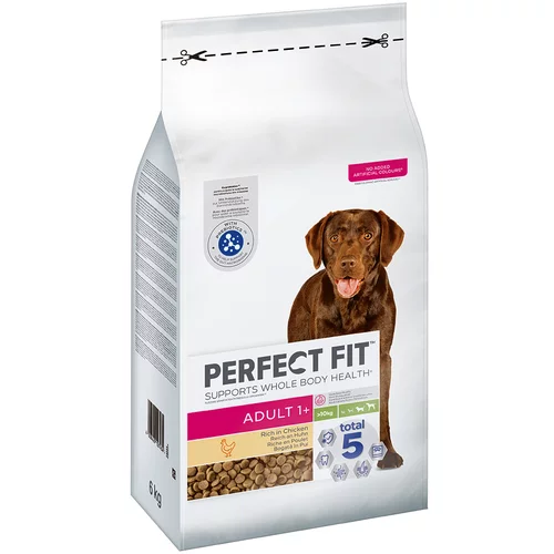 PerfectFIT Adult pes (>10kg) - Varčno pakiranje: 2 x 6 kg