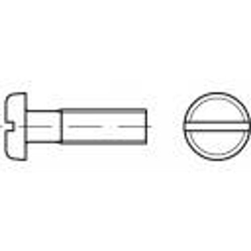 Toolcraft TO-5445636 vijci s plosnatom glavom M6 10 mm utor DIN 85 mjed 200 St. Cene