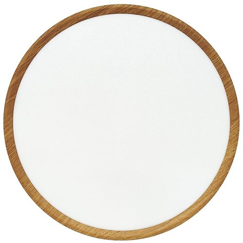  LED plafonjera LED/32W/230V 3000/4000/6500K prečnik 40 cm bež Cene