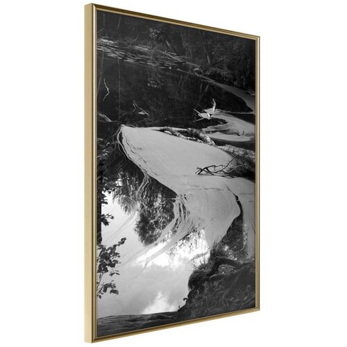 Poster - Duckweed 20x30 Cijene