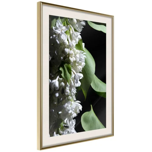  Poster - Fragrant Spring 40x60