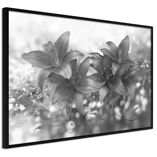  Poster - Dark Lillies 90x60