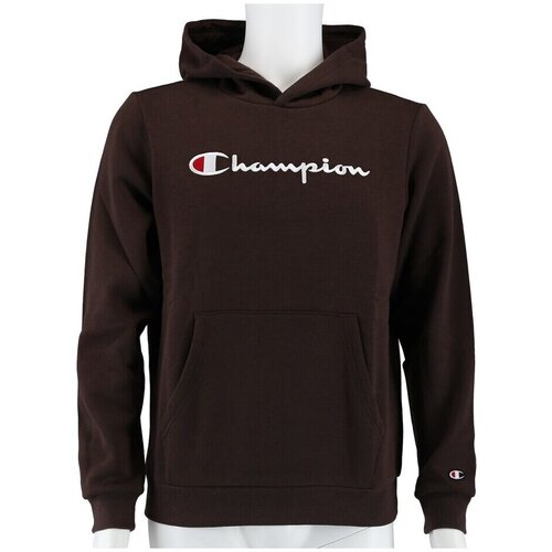 Champion Big Logo Print Smeđa Slike