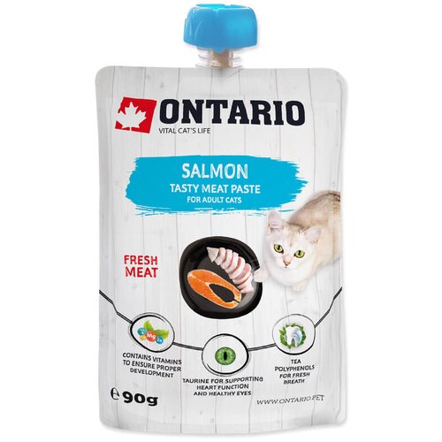 Ontario Cat pasta z lososom 90 g Cene