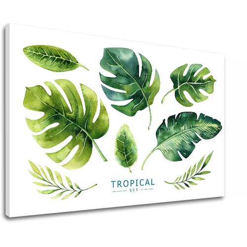  Slike na platnu sa tekstom Tropical set (moderne slike sa) Slike