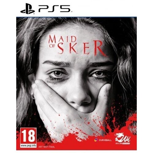 Curveball Leisure PS5 Maid of Sker Slike