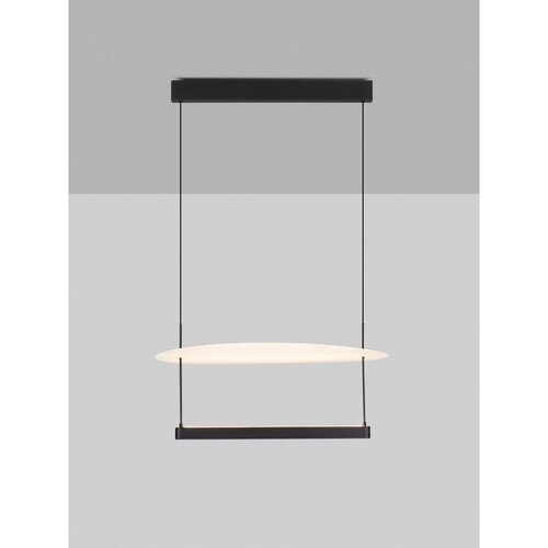 Nova Luce Bijela/mat crna LED viseća svjetiljka aluminijska s mogućnosti zatamnjivanja &amp;oslash; 60 cm Diona &amp;ndash; Slike