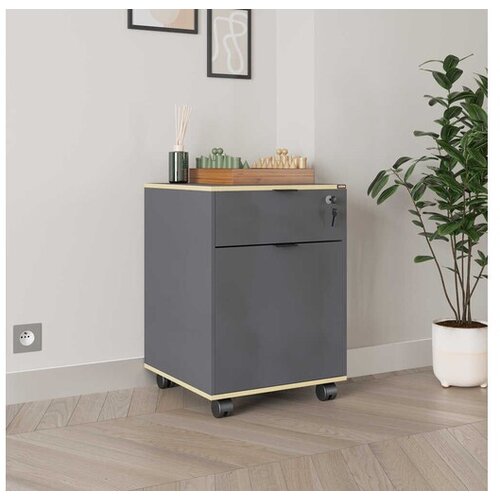 Hanah home Komoda Rkm-311-Ax-1, 41x61x41 cm, Antracit Cene