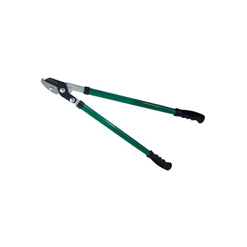 Papillon makaze za grane 83406 Slike