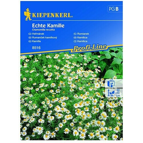 KIEPENKERL Profi-Line Sjeme cvijeća kamilica (Chamomilla recutita, Bijela) Cijene