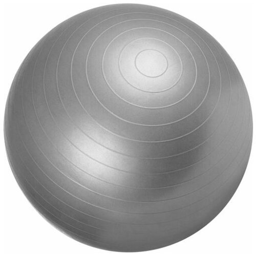 Gorilla Sports lopta za pilates 1868088 Cene