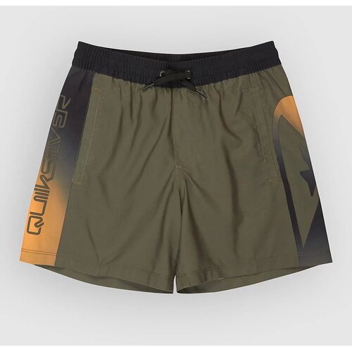 Quiksilver Everyday Holmes Volley 16 Kids Boardshorts grape leaf holmes Cene