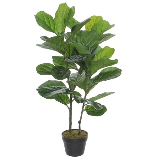 MICA 1040427 Cvet u saksiji ficus lyrata 100cm - green - edl ( 040433 ) Cene