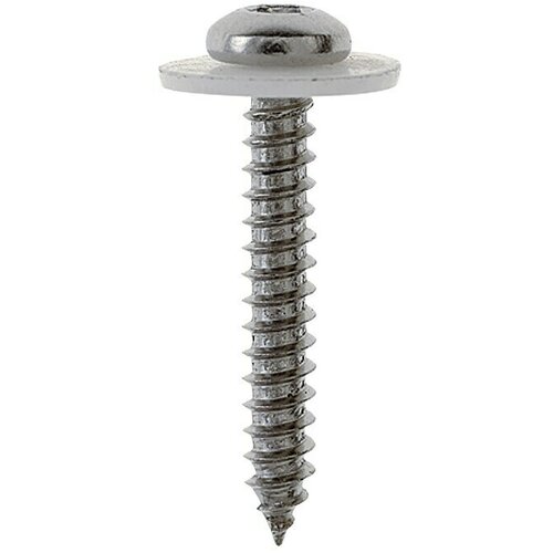 PROFI DEPOT Vijak s PVC pločicom A2 za prozorske klupice (Promjer: 3,9 mm, Duljina: 20 mm, 100 Kom.) Cijene