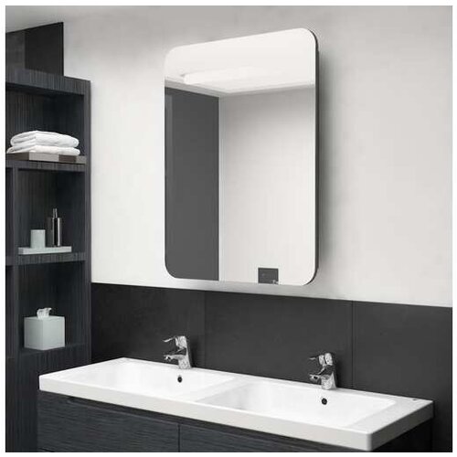  VIDAXL LED kopalniska omarica z ogledalom sijoce siva 60x11x Slike