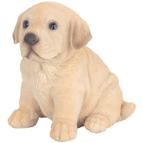 Signes Grimalt Kipci in figurice Pes Bež Cene