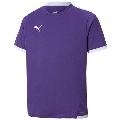 Puma JR Teamliga Jersey Ljubičasta Slike