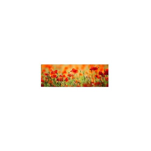 Shining Slika na platnu sa LED osvetljenjem 30x90cm Slike
