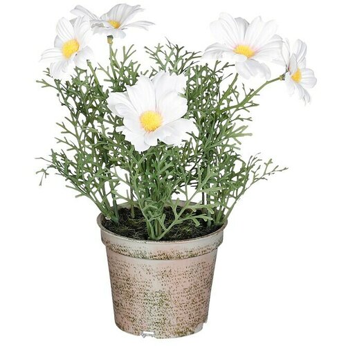  Umjetna biljka (Vanjska dimenzija (ø x V): 13 x 21,5 cm, Plastika) Cijene