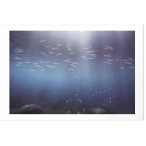 Plakat - Fish in the Depths 42x29.7 Bez okvira s margom Cene